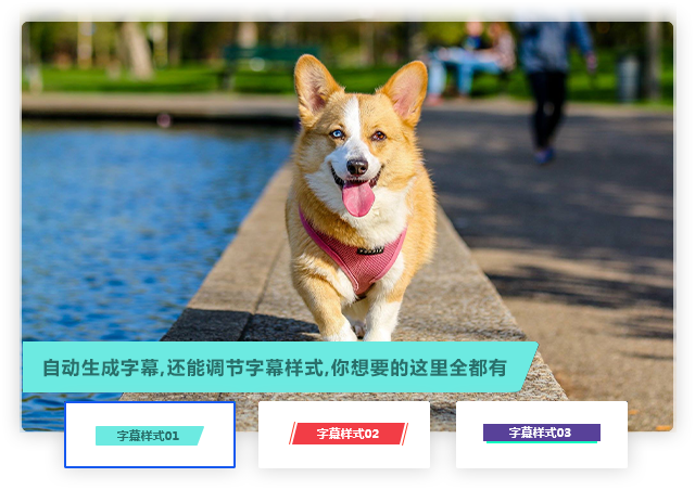 自动生成字幕